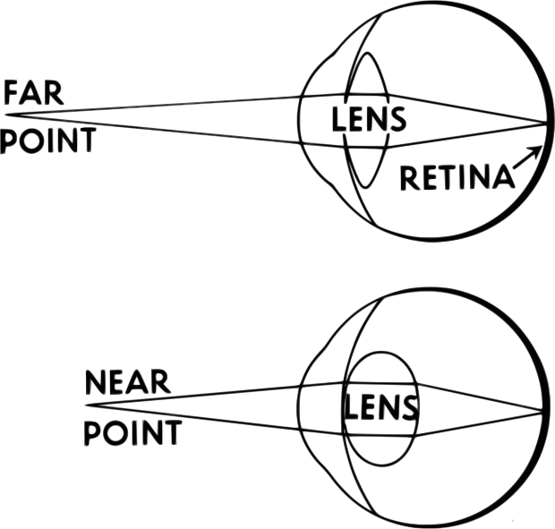 File:Accommodation (PSF).svg