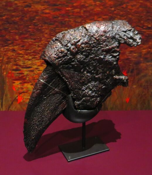 File:Eremotherium laurillardi claw.jpg