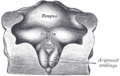 Thumbnail for version as of 17:28, 18 May 2026