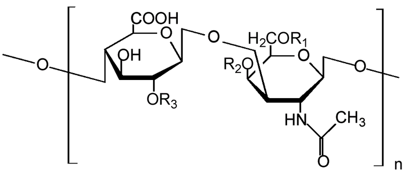 File:Chondroitin Sulfate Structure NTP.png