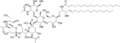 Thumbnail for version as of 14:41, 24 May 2026