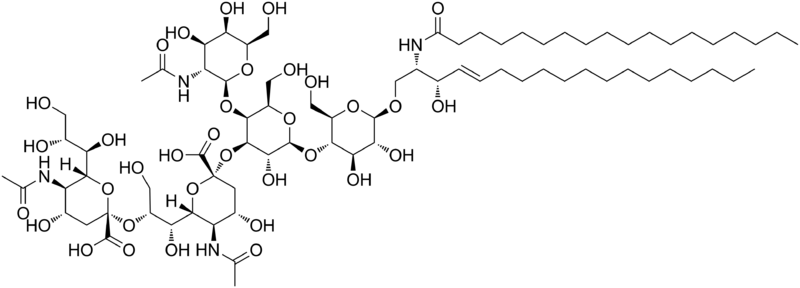File:GD2 ganglioside.png