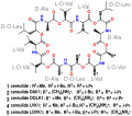 Thumbnail for version as of 11:33, 19 May 2026