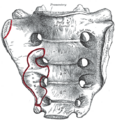 Thumbnail for version as of 17:28, 18 May 2026