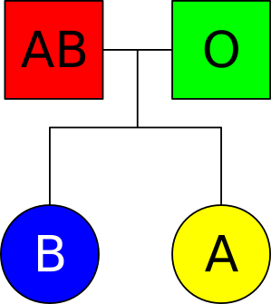 File:AB&O Regular Inheritance.svg