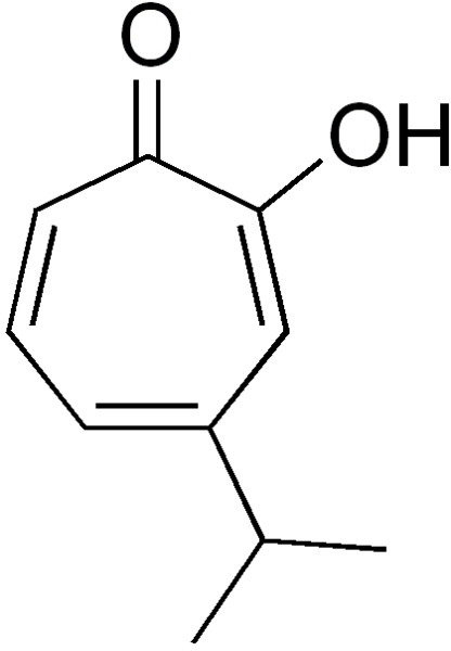 File:Gamma-thujaplicin.png