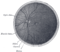 Thumbnail for version as of 17:27, 18 May 2026