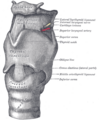 Thumbnail for version as of 17:28, 18 May 2026