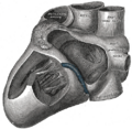 Thumbnail for version as of 17:28, 18 May 2026