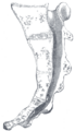Thumbnail for version as of 17:28, 18 May 2026