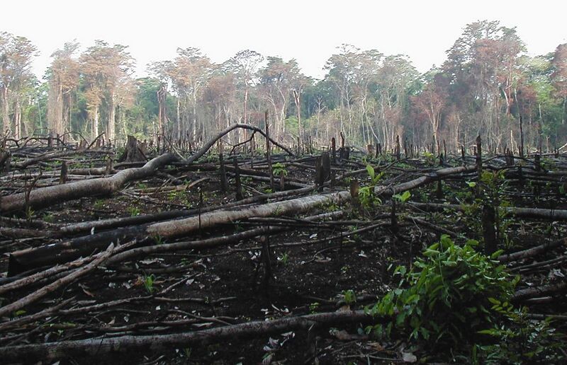 File:Lacanja burn crop.JPG
