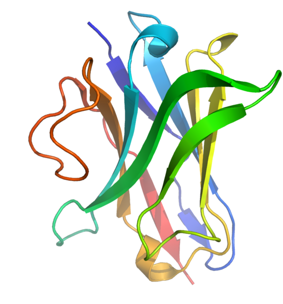 File:1I3V (Lama VHH domain unligated).png