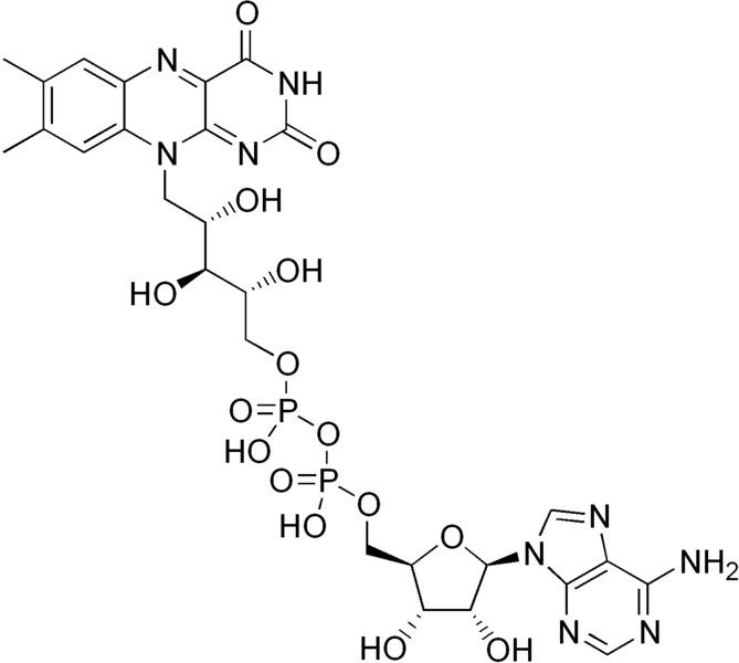File:Flavin adenine dinucleotide.png