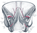 Thumbnail for version as of 17:28, 18 May 2026