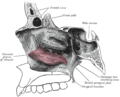 Thumbnail for version as of 17:28, 18 May 2026