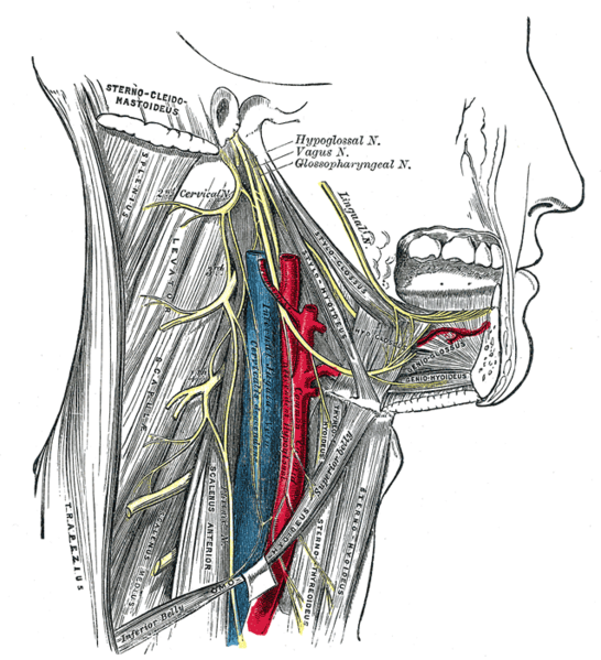 File:Gray794.png