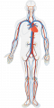 Thumbnail for version as of 19:34, 20 February 2019