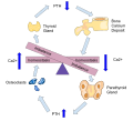 Thumbnail for version as of 09:20, 30 May 2026