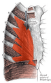 Thumbnail for version as of 13:40, 23 May 2026