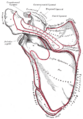 Thumbnail for version as of 03:47, 18 May 2026