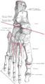Thumbnail for version as of 22:29, 8 June 2026