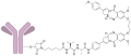 Thumbnail for version as of 01:55, 22 May 2026