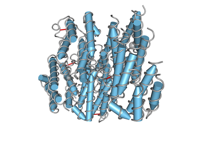 File:1RH2 Recombinant Human Interferon-Alpha 2b-02.png