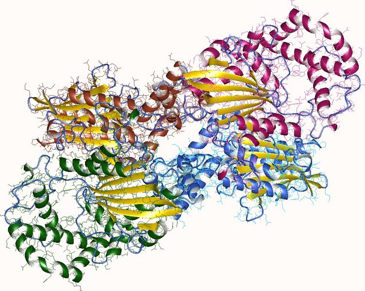 File:1cvi.jpg