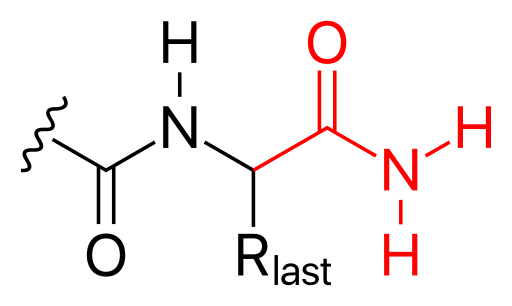 File:C-terminal amidation.svg