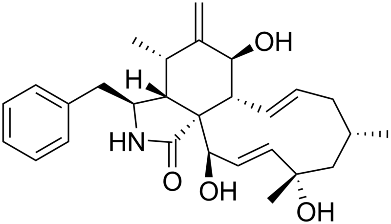 File:Cytochalasin J.png