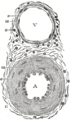 Thumbnail for version as of 17:28, 18 May 2026