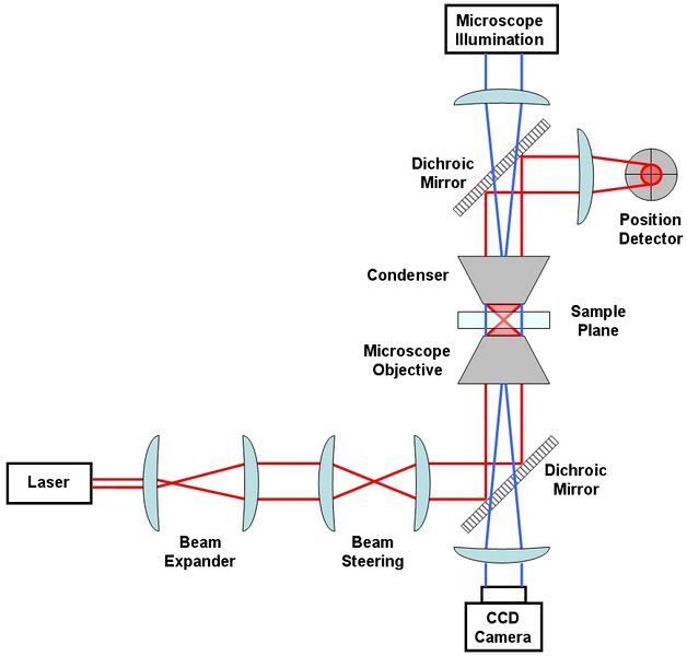 File:Generic Optical Tweezer Diagram.jpg