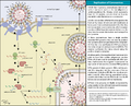Thumbnail for version as of 13:39, 8 June 2026