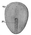 Thumbnail for version as of 17:28, 18 May 2026