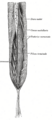 Thumbnail for version as of 17:28, 18 May 2026