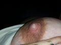 Thumbnail for version as of 03:23, 5 June 2026