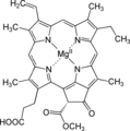 Thumbnail for version as of 15:40, 25 May 2026