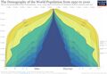 Population pyramid