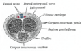 Thumbnail for version as of 17:28, 18 May 2026