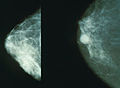 Thumbnail for version as of 02:27, 19 May 2026