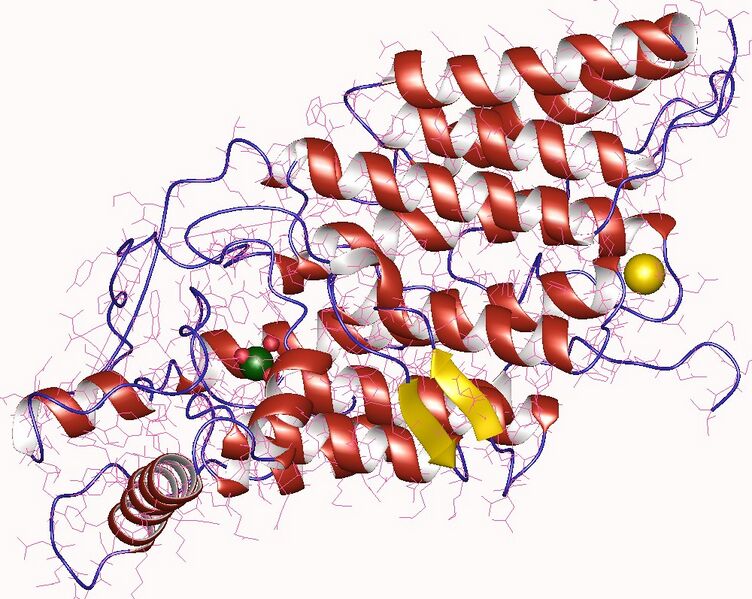 File:4cit.jpg