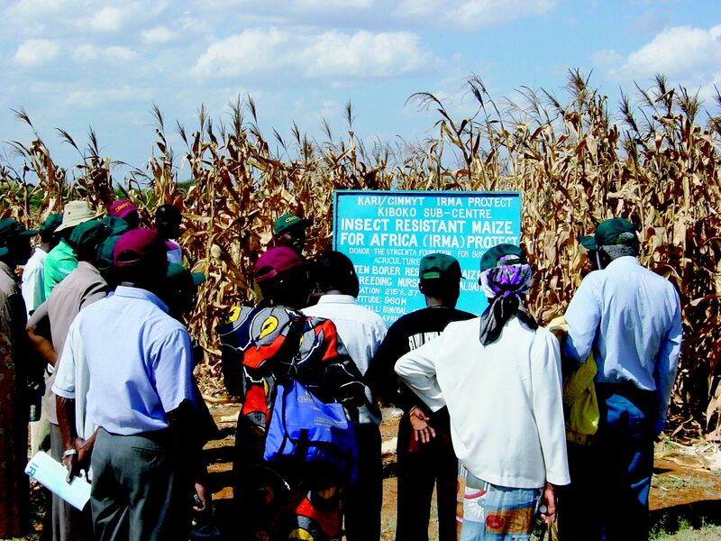 File:Btcornafrica.jpg