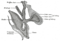 Thumbnail for version as of 17:28, 18 May 2026