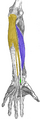 Thumbnail for version as of 13:40, 23 May 2026