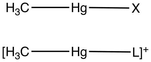 File:MethylmercuryPrototypes.svg