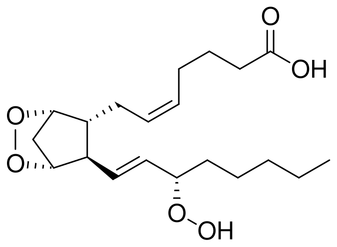 File:Prostaglandin G2.svg