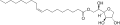Thumbnail for version as of 19:03, 22 May 2026