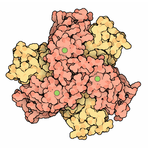 File:094-SuperoxideDismutase-Ni 6mer.png