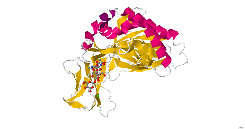 File:2BC4.pdb1.png