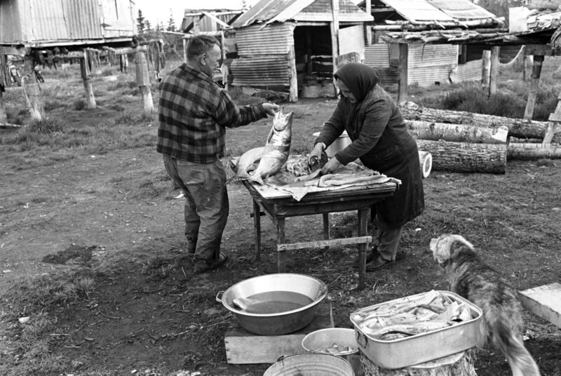 File:Cleaning fish in Alaska 1975.jpg
